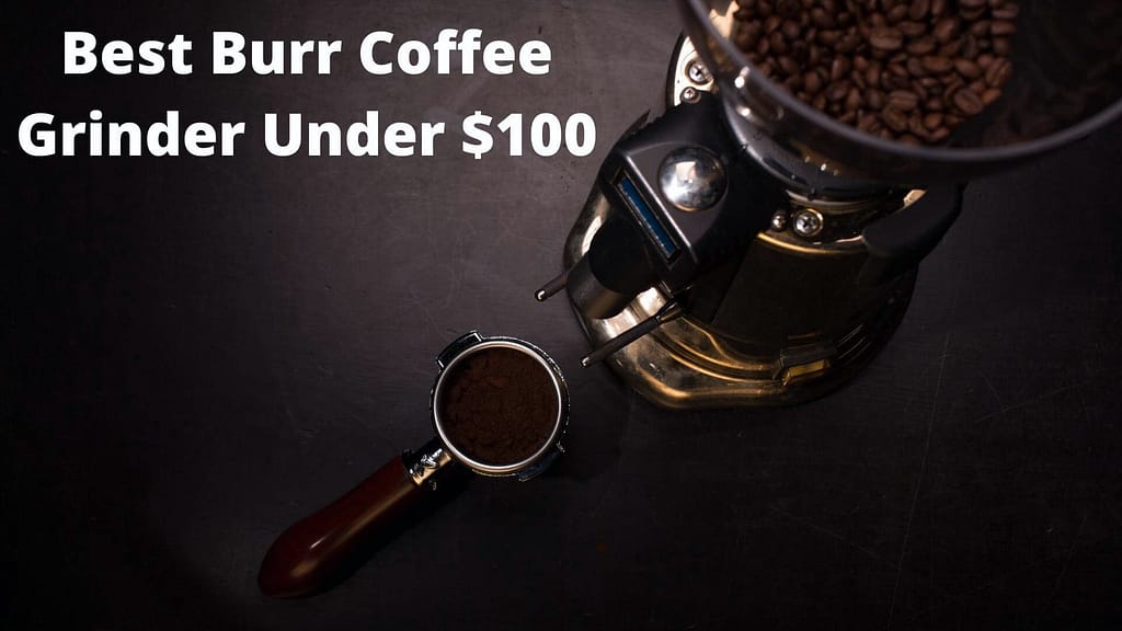 Best Burr Coffee Grinder under 100