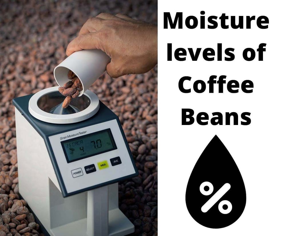 Moisture levels of Coffee Beans