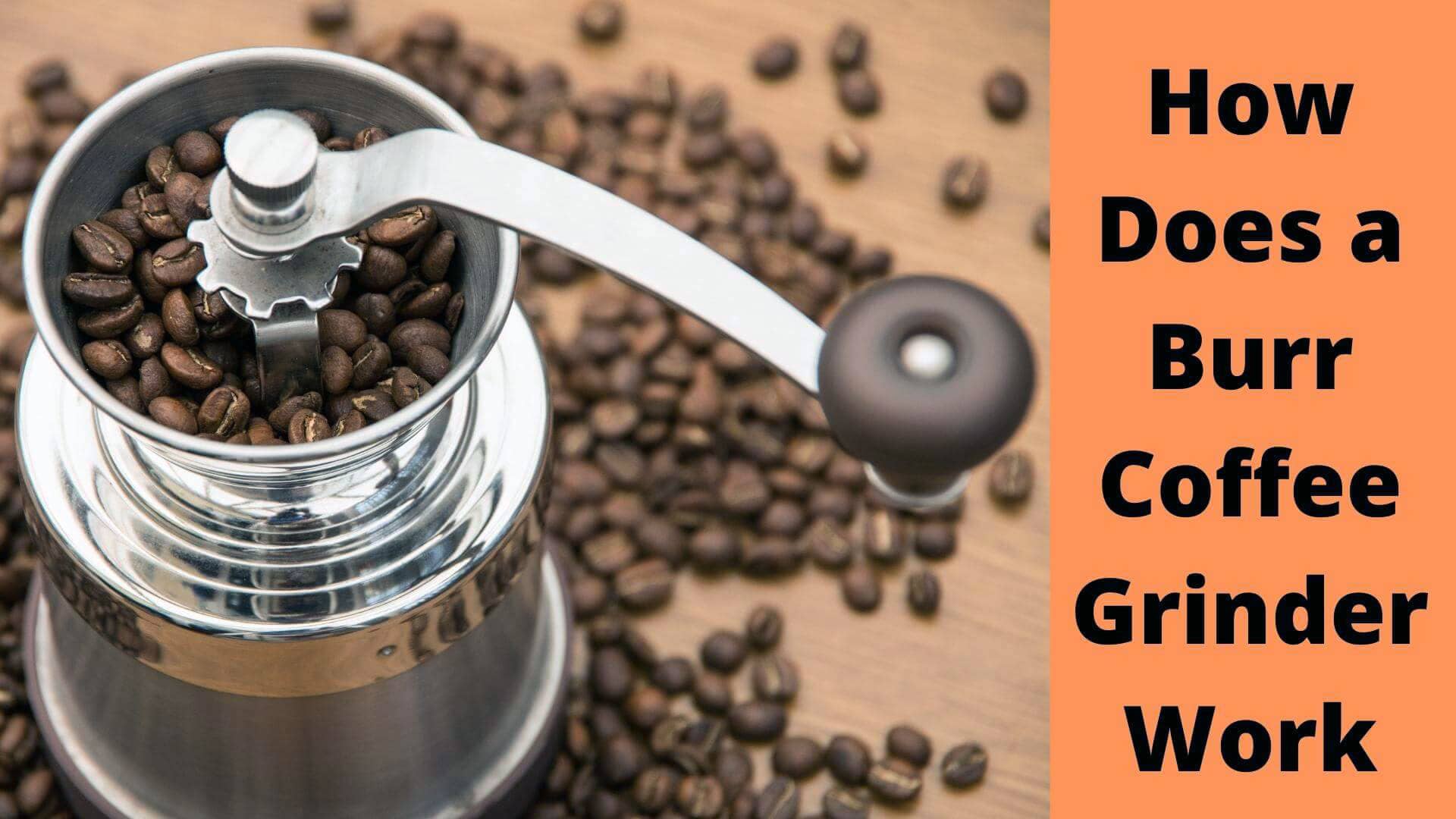 How Does a Burr Grinder Work