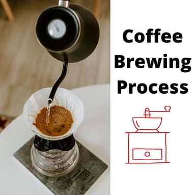 Coffee Brewing Processes
