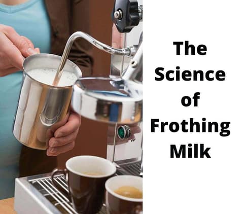 The Science of Frothing Milk