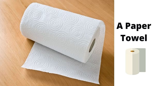 A Paper Towel